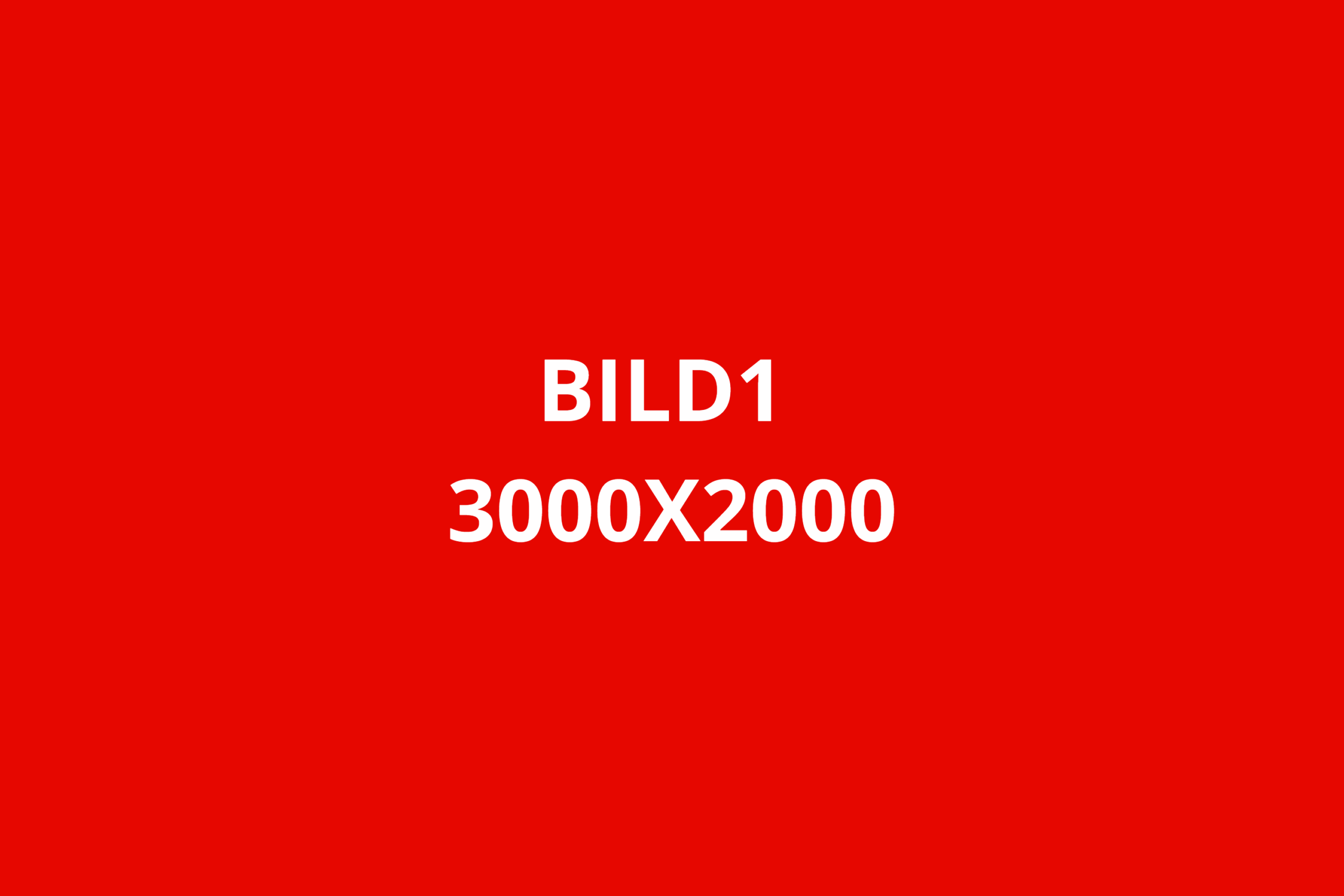 BILD1 3000X2000