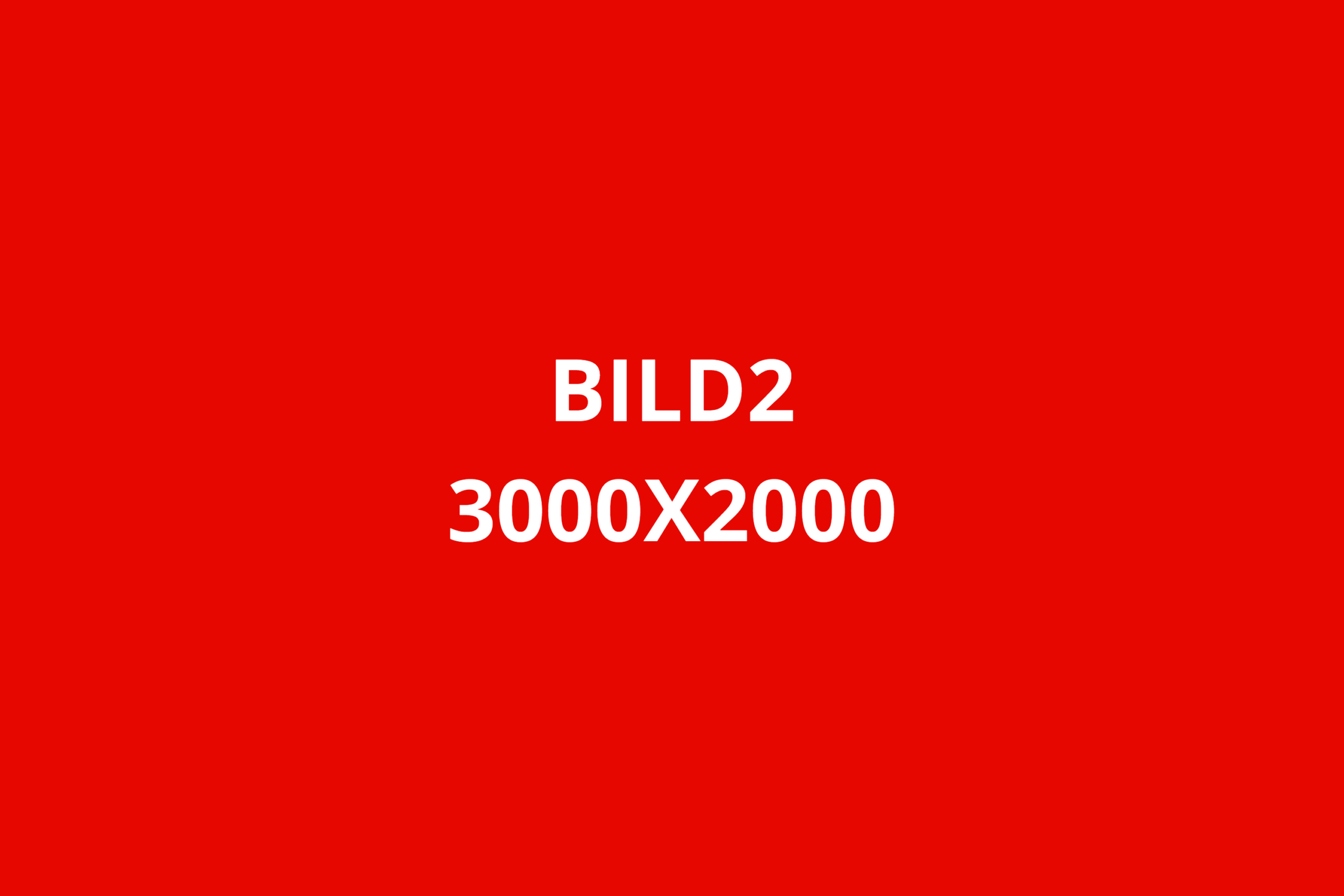 BILD2 3000X2000